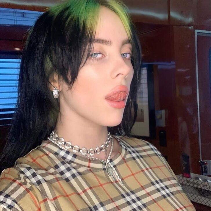 Billie Eilish Wiki, Bio, Facts, Age, Height, Boyfriend, Net Worth