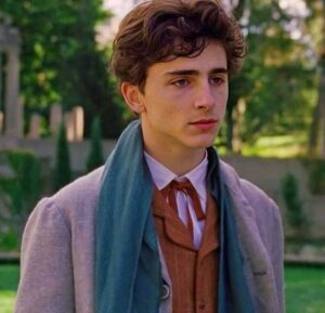 Timothée Chalamet - Wiki, Bio, Facts, Age, Girlfriend, Net Worth