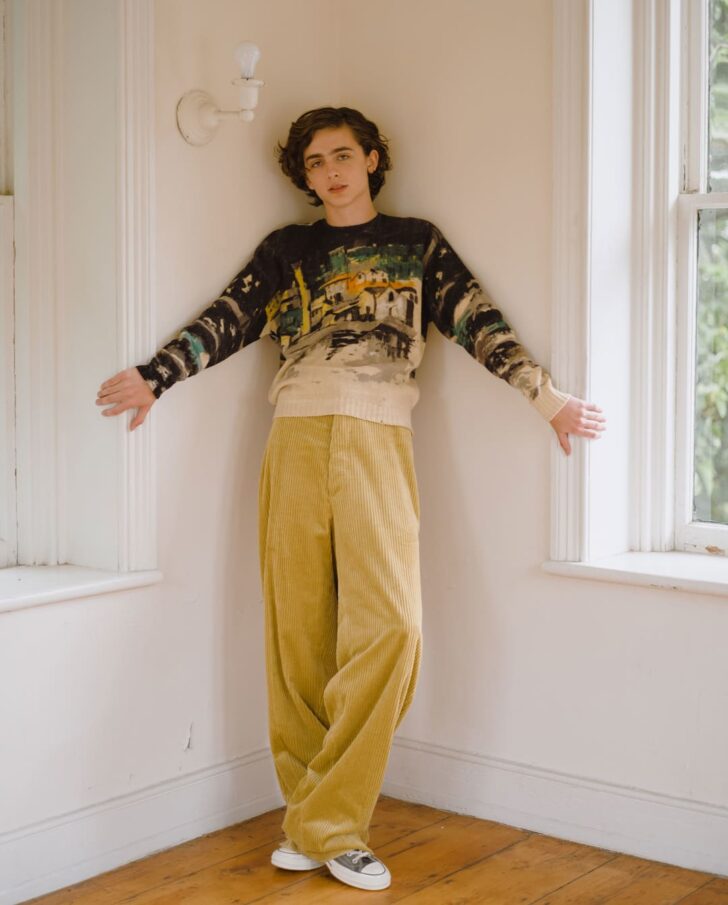 Timothée Chalamet - Wiki, Bio, Facts, Age, Girlfriend, Net Worth