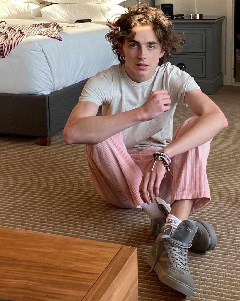 timothee chalamet shirt call me by your name