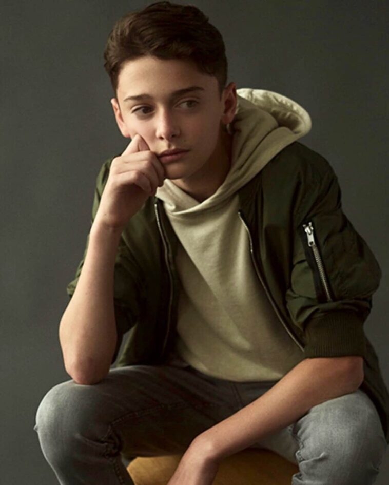 Noah Schnapp Wiki Bio Facts Age Height Girlfriend Ideal Type 8949