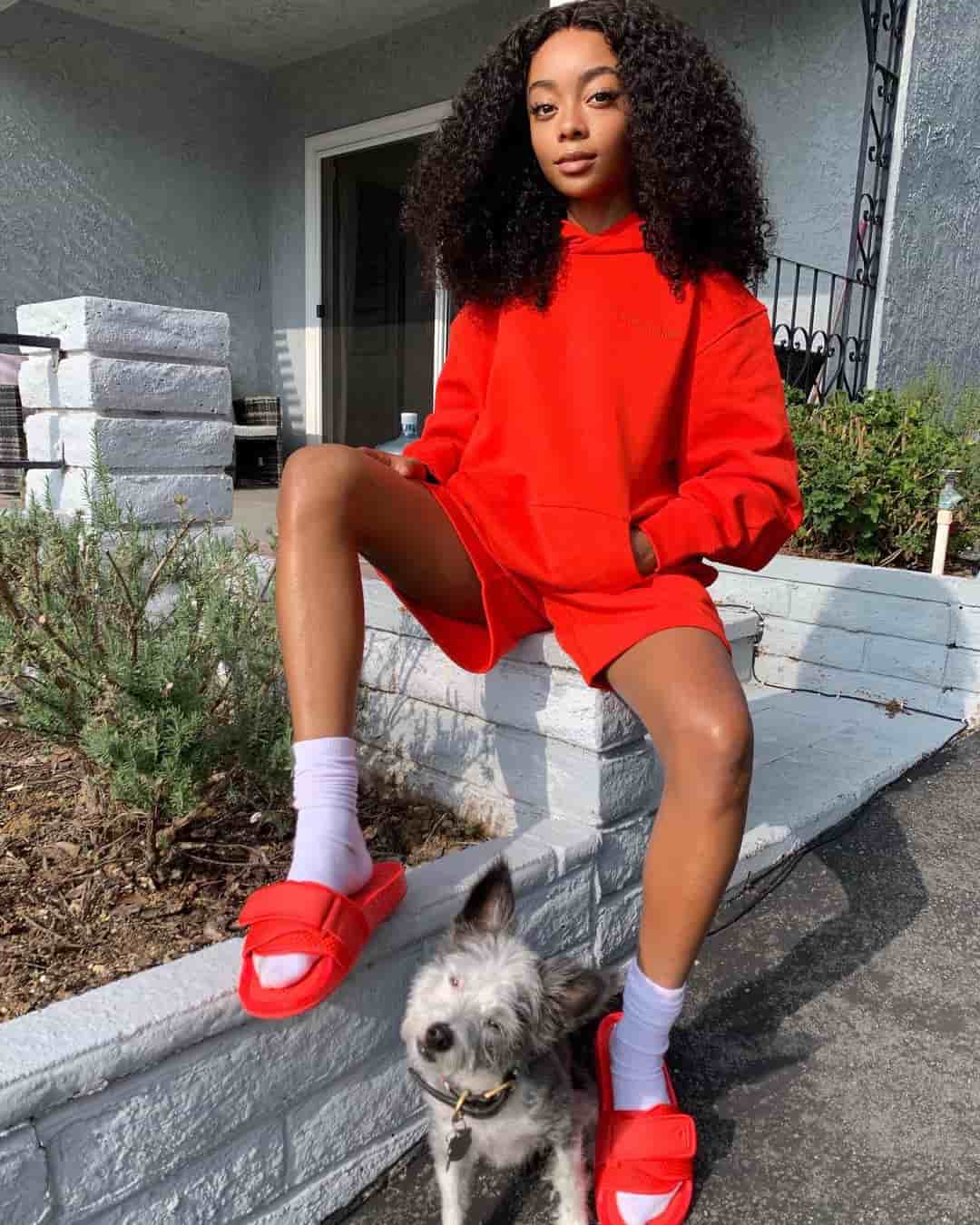 Skai Jackson Wiki Age Height Boyfriend Family Biograp - vrogue.co