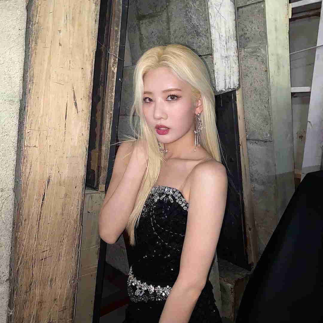 Kim Lip (LOONA) - Bio, Profile, Facts, Age, Boyfriend, Ideal Type