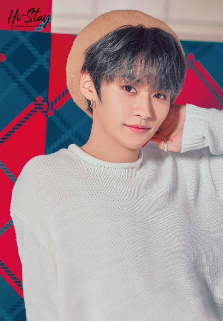 Stray Kids Members - Wiki, Bio, Profile, Facts, Age, Quotes