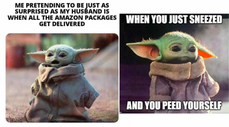 15 Best Baby Yoda Memes To Relate With Our Life Gluwee