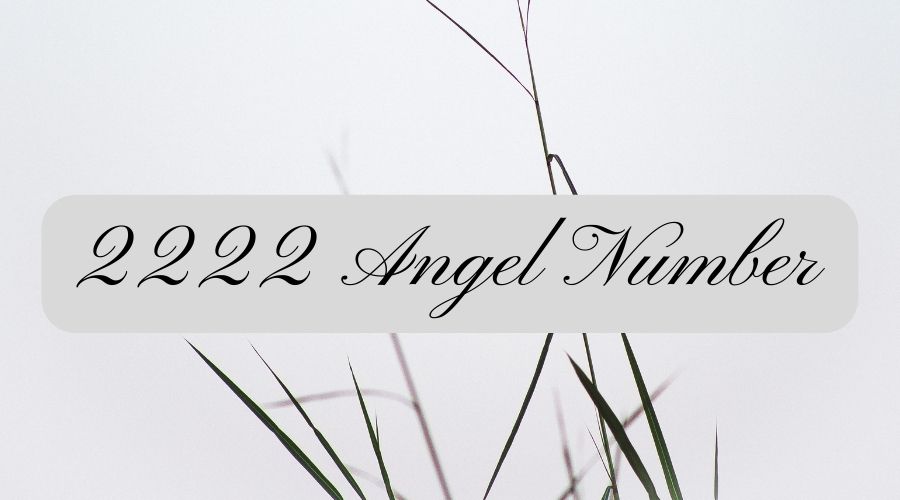 2222 Angel Number Meaning in Harmony and Security - Gluwee